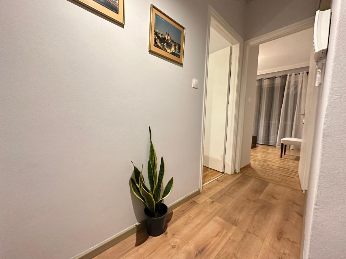 Ano Patisia Cosy Apartment II Atene Esterno foto